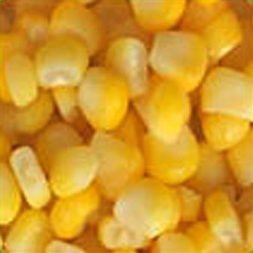 Yellow Corn @ USD 220/ MT