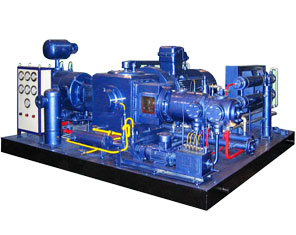 D-type series natural gas compressor