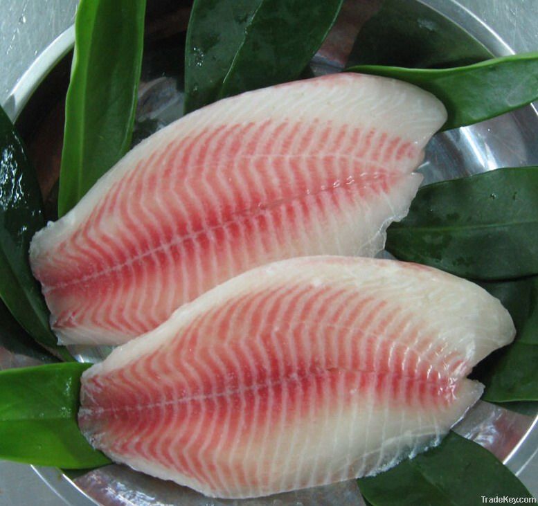 frozen tilapia fillet