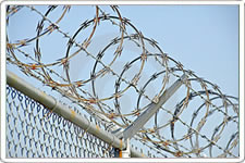 razor barbed wire and barbed wire