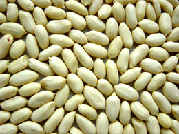 long type blanched peanut kernels