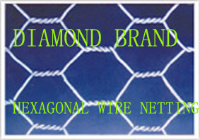 Hexagonal Wire Netting