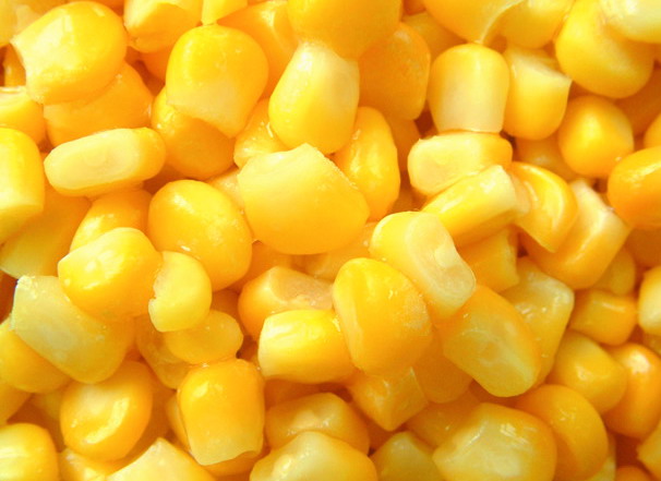 Sell frozen sweetcorn