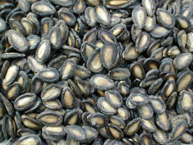 Black Watermelon Seeds