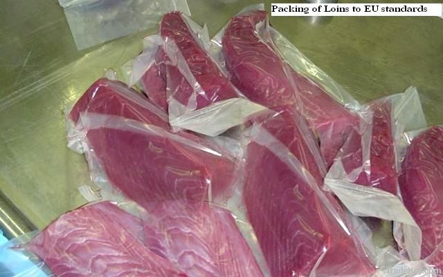yellowfin tuna loins
