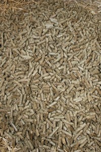 Biomass starw pellets