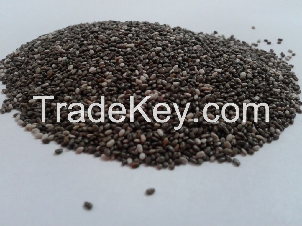 CONVENTIONAL BLACK CHIA SEEDS - MAXIMUM PURITY