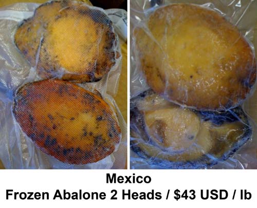 FROZEN ABALONE