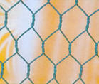 Hexagonal Wire Netting