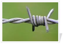 Razor Barbed Wire