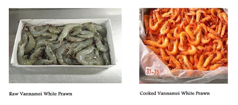 Frozen Raw Vannamei White Shrimp, Frozen Cooked Vannamei White Shrimp