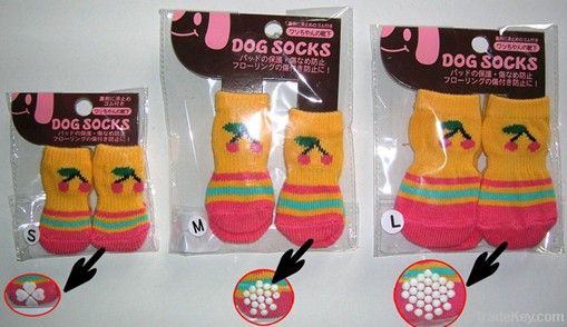 dog socks