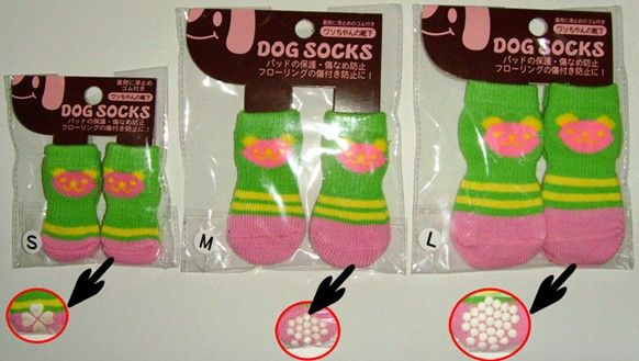 dog socks