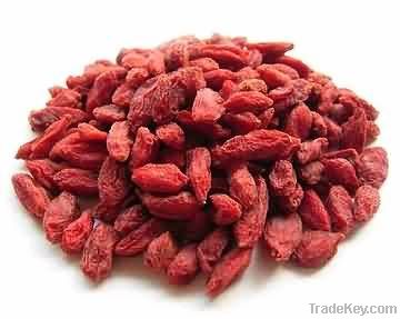 Goji Berry