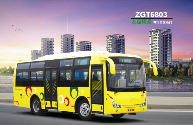 bus and city bus (ZGT6803)