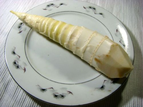 Frozen Bamboo Shoots(iqf bamboo shoots, bamboo shoots)