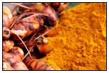 Organic Turmeric Powder