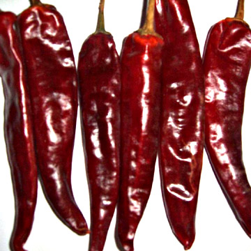 Red Chilli