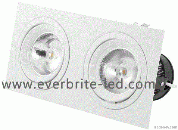 LED Down Light