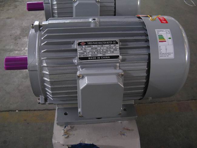 Y three phase electric motor