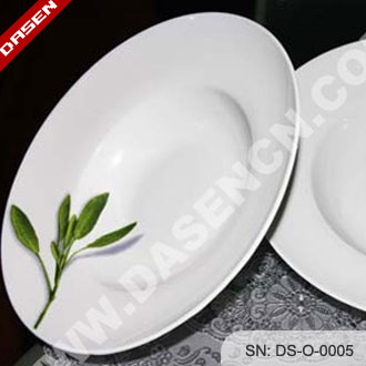 Porcelain Soup Bowl & Salad Bowl