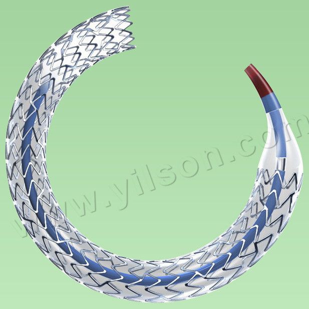 Sirolimus Eluting Coronary Stent system