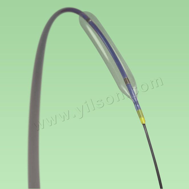 PTCA Balloon Dilatation Catheter