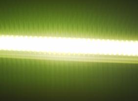 LED T8 Tube Light