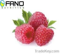 IQF Raspberry