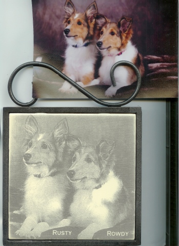 Pet Photo Laser Engraved in Tile