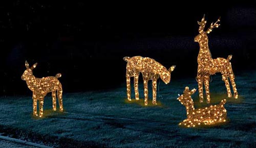 3D Illuminated Feeding Reindeer,christmas lights