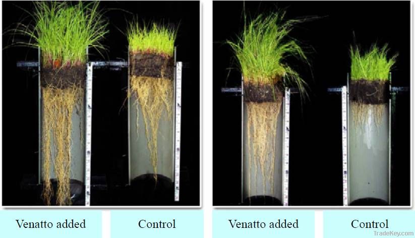 Plant Growth Regulator PGA