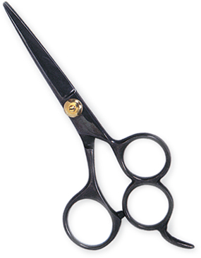 SCISSORS