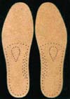 Magnetic Insole