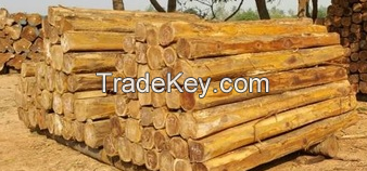 Teak Wood