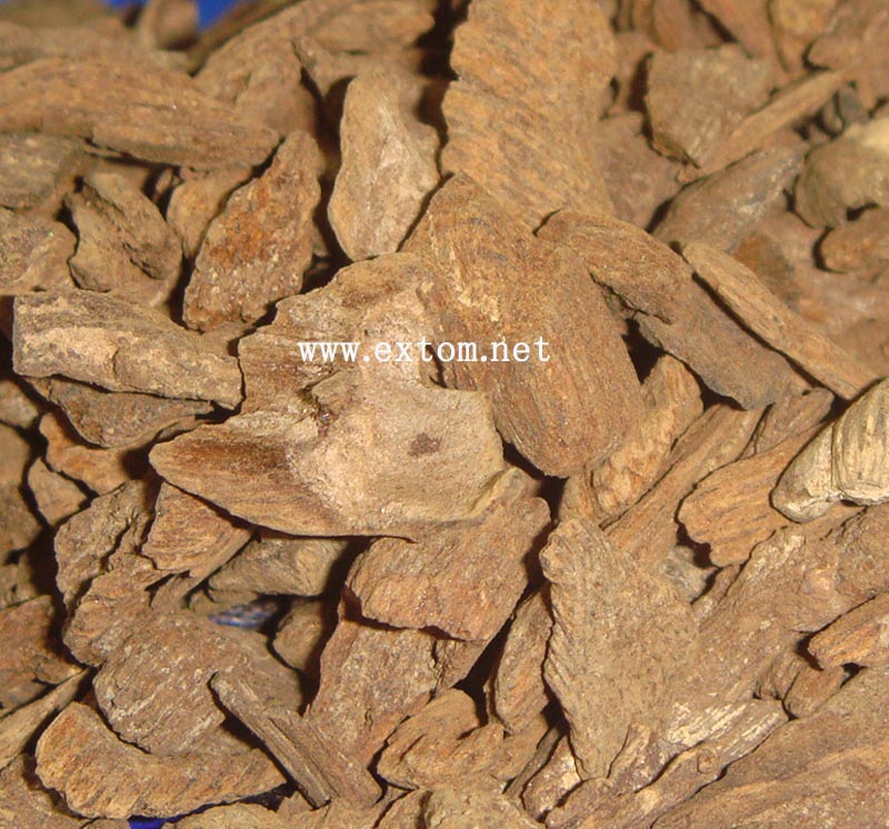 Y9864Vietnam Fuson clay agarwood