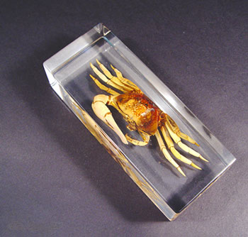 Man-made amber jewelry - paperweight