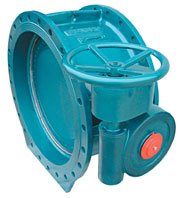 butterfly valve