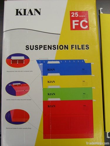 Suspension file