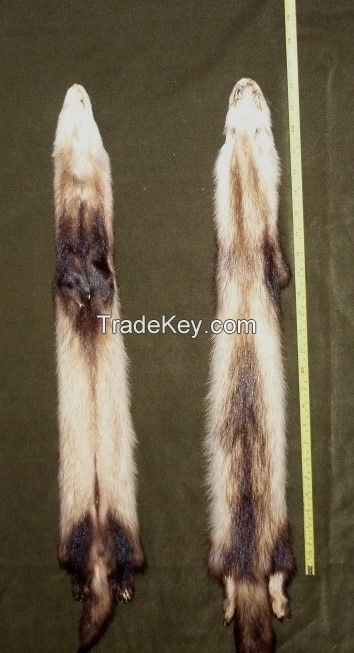 Fitch skins, real fur