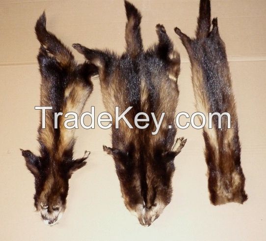 Fitch skins, real fur