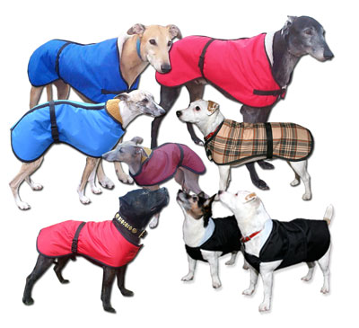 Dog clothes