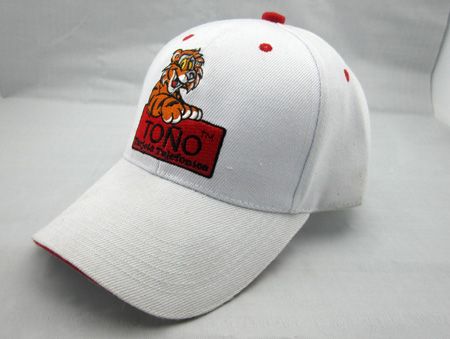 Promotional baseball cap golf cap