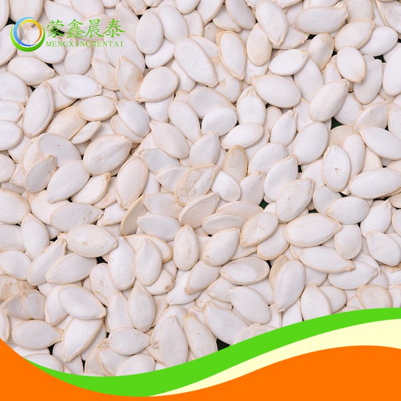 Snow white pumpkin seeds