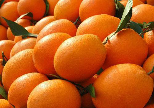 navel orange