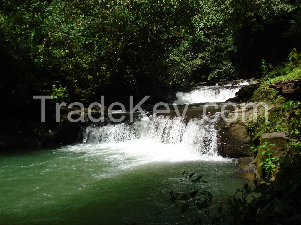 Talamanca Spring Water