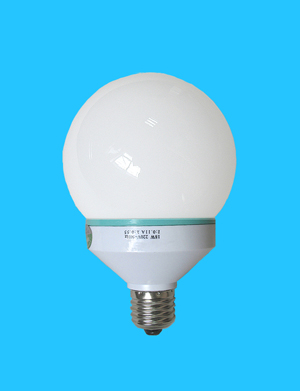 Global type energy saving lamp