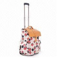 luggage /travel bag