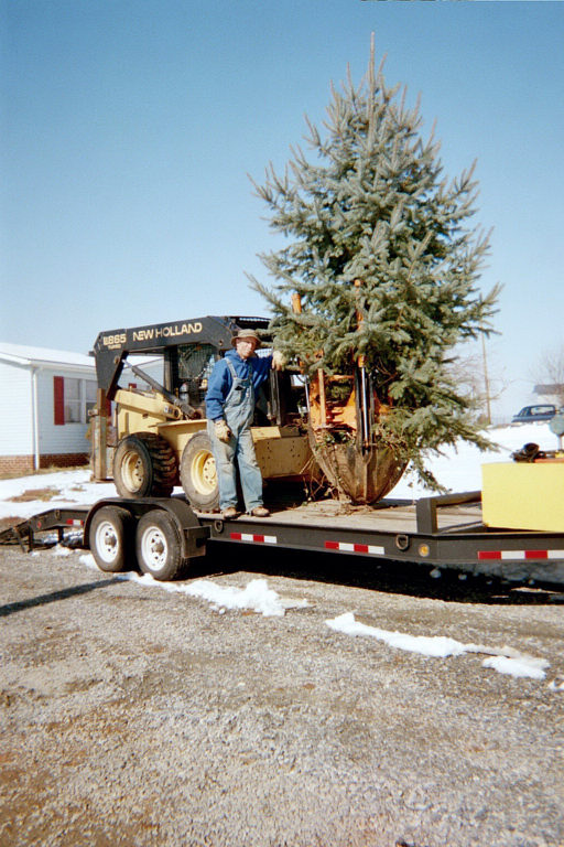 Organic trees and shrubs