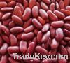 Red Kidney Bean (RAJMA)